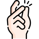 Fast Processing icon